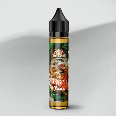 Mint Paan Eliquid - VapeNation.pk Vape Pakistan